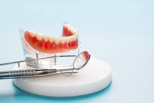  Pine Island Center, FL Holistic Dental Services Pros